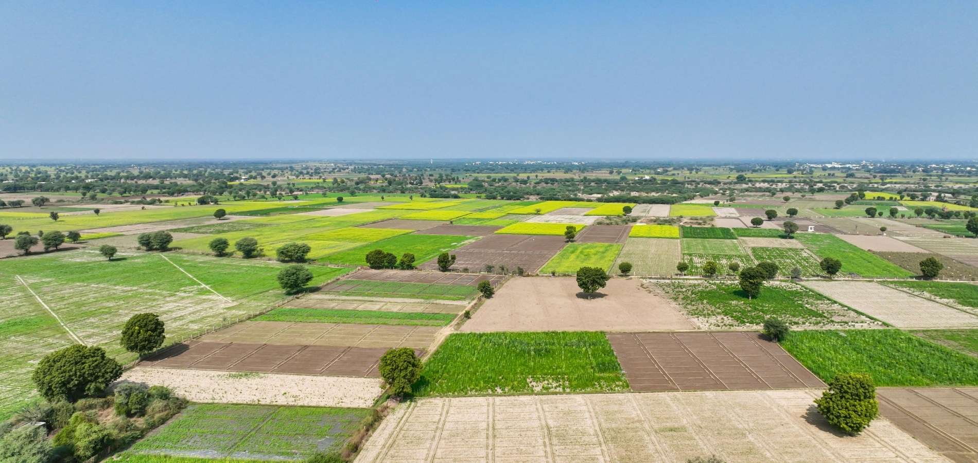 Land Ownership